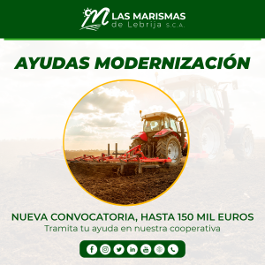 Ayudas a la modernización agrícola en Andalucía para 2024: adquisición de maquinaria y equipamiento para explotaciones agrarias